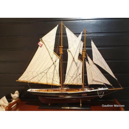 Bluenose 80 x 65