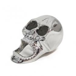 Décapsuleur skull