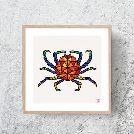 Affiche araignée colorée 50x50