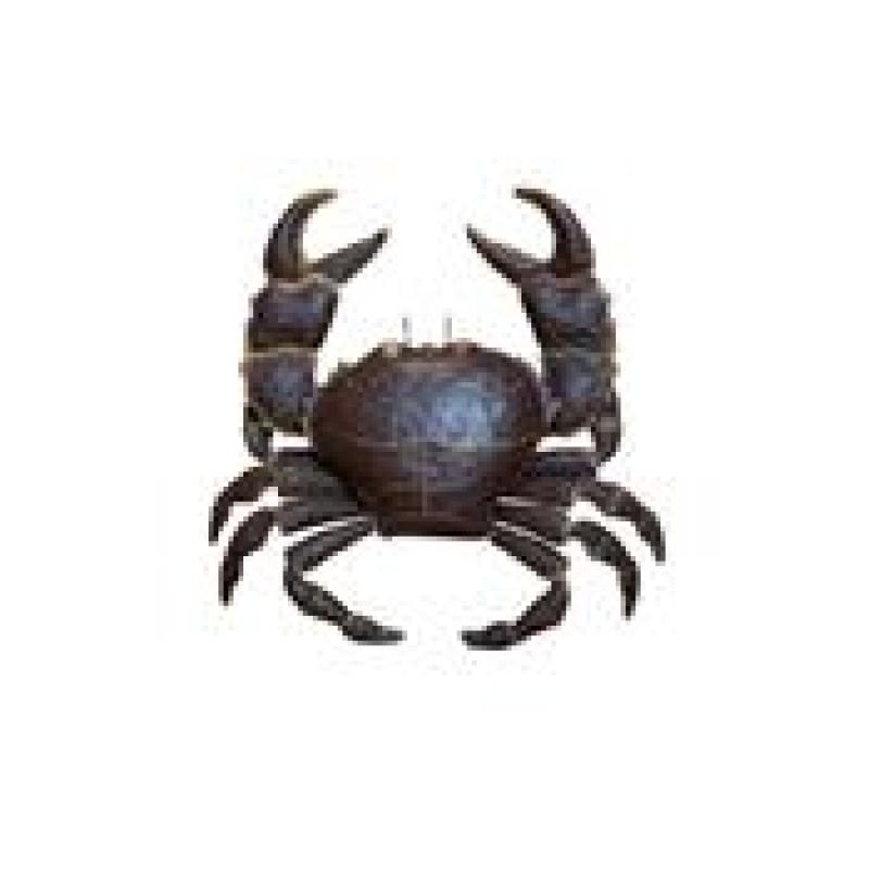 Crabe en métal 75 cm