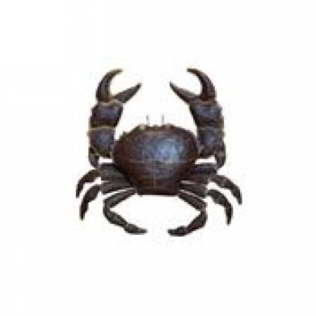 Crabe en métal 75 cm