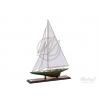 Maquette Shamrock Classe J New